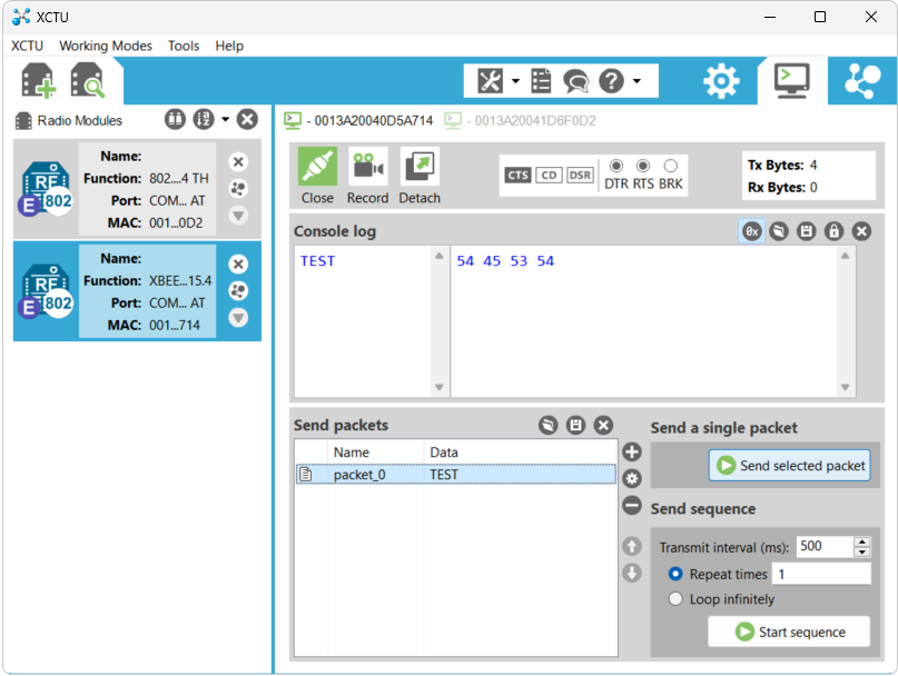 Screenshot of the terminal window after sending and receiving packets